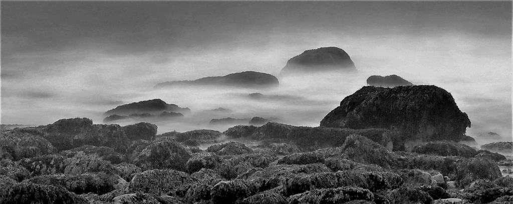 Digital B n W In Class A By John Garvin For Acadia Shoreline MAR-2020.jpg